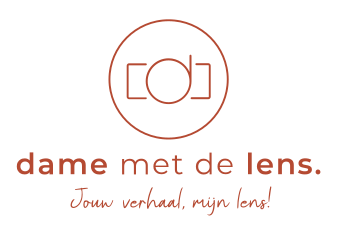logo damemetdelens.nl